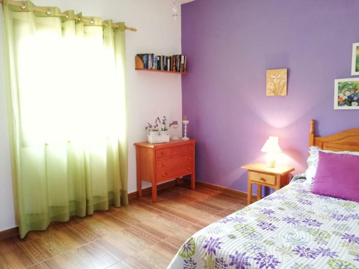 圣克鲁斯-德拉帕尔马 Casas Hoya Limpia- Solo Adultos旅馆 外观 照片